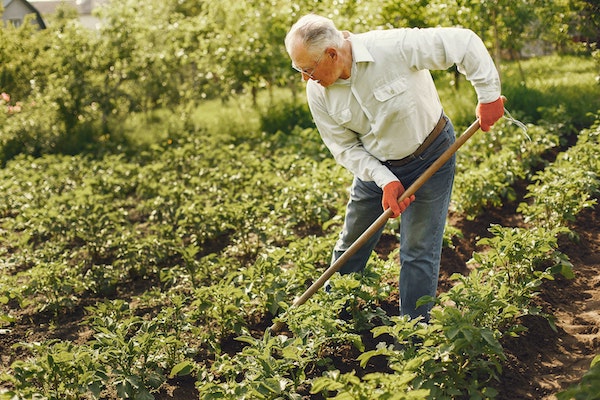 Jardinier becher