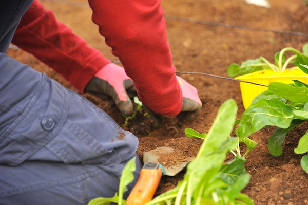 Un jardinier a domicile