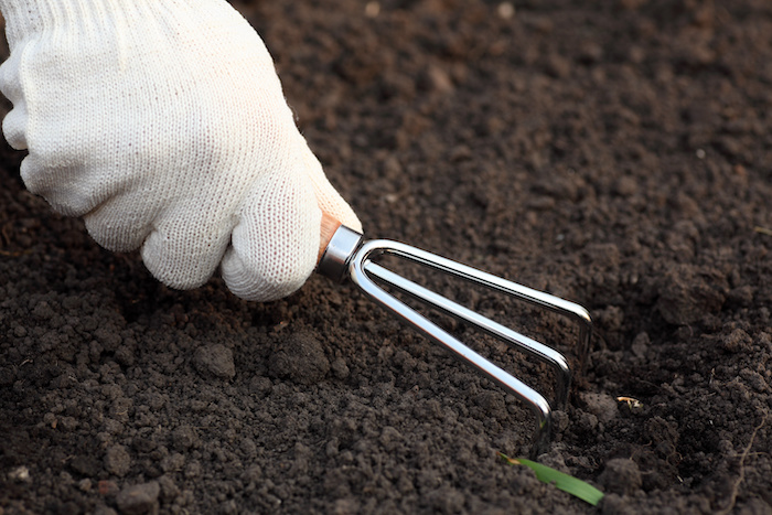 Une griffe, un petit outil de jardinage qui ratisse la terre