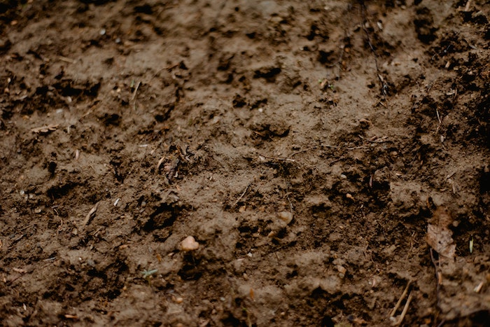 Terre très humide